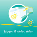 Pampers Baby-Dry Diapers, Size 2 (Newborn, 3-8Kg) 25Pc