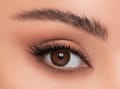 Linda Color Contact Lens -Tan