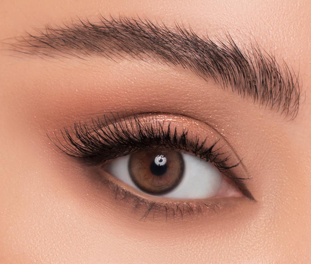 Linda Color Contact Lens -Latte