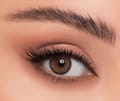 Linda Color Contact Lens -Latte