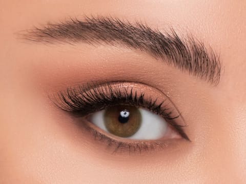 Linda Color Contact Lens -Amber